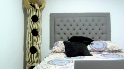 eva online show from 01/15/25, 12:09