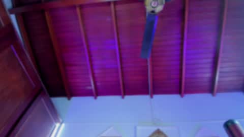 adeline online show from 12/17/24, 06:24