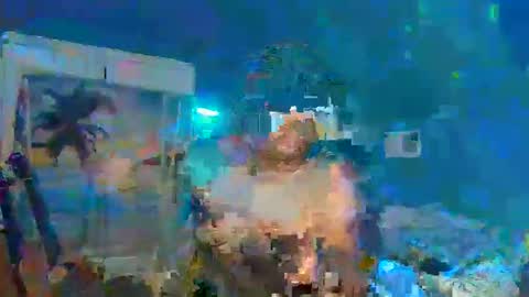 Adonis XDDDDDDDD Woody online show from 12/31/24, 12:32