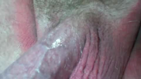 This is a temp room please follow excelsior62 by clicking the link below online show from 12/23/24, 07:17