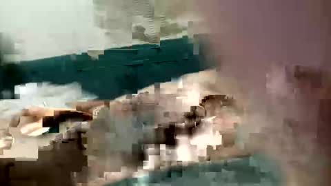 Snapshot of adrodiarellano chatting on 10/13/25, 02:22 adrodiarellano online show from 10/13/25, 02:22