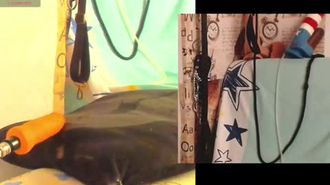 afroditacute16 online show from 02/27/26, 01:55