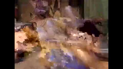 aftermathr3 online show from 05/27/26, 05:37