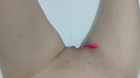 Taylor online show from 04/21/26, 11:29