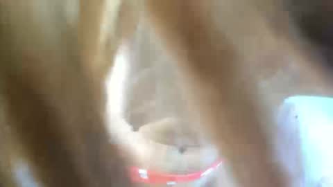 aisha_violeht online show from 02/25/26, 02:37