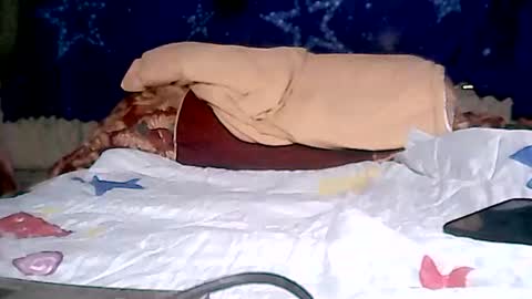 Snapshot of aislahrose chatting on 01/28/25, 02:11 rosie online show from 01/28/25, 02:11