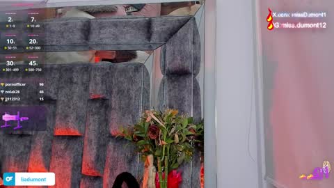 Snapshot of aivadumont chatting on 12/27/24, 02:14 Queen Dumont online show from 12/27/24, 02:14