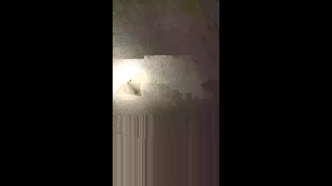 aj297914 online show from 02/08/26, 05:22