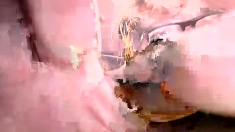 Snapshot of ajistightfeg chatting on 10/01/25, 08:53 Ajishigh online show from 10/01/25, 08:53