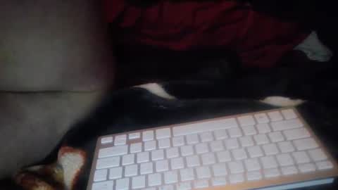 Snapshot of aken4it chatting on 10/17/25, 07:27 aken4it online show from 10/17/25, 07:27