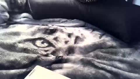 aken4it online show from 04/02/26, 11:35