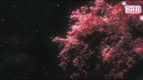 Liza online show from 04/12/26, 07:41