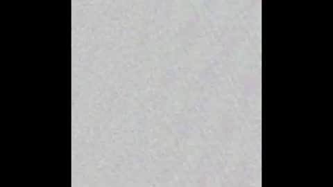 Snapshot of al_miko chatting on 01/12/25, 11:15 Al Fox Miko Fortuni online show from 01/12/25, 11:15