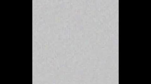 Alaia online show from 10/11/25, 11:31