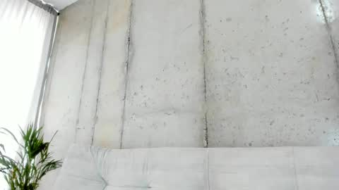 Alan greek online show from 02/14/25, 01:29