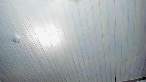 ---Alan--- online show from 02/24/25, 05:43