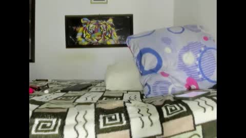 Snapshot of alan_sunlight chatting on 12/16/24, 08:26 alan sunlight online show from 12/16/24, 08:26