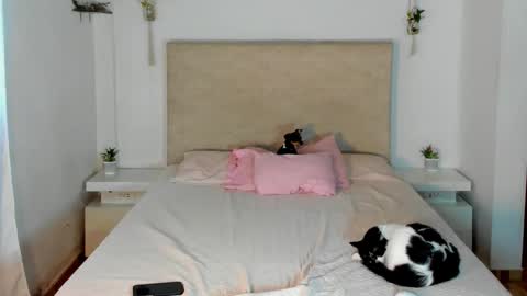             online show from 03/20/26, 02:22