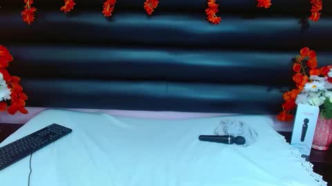 AlaSmith  online show from 01/29/25, 04:58