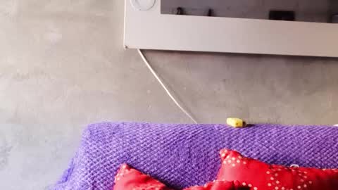 alasska_18 online show from 10/25/25, 10:04