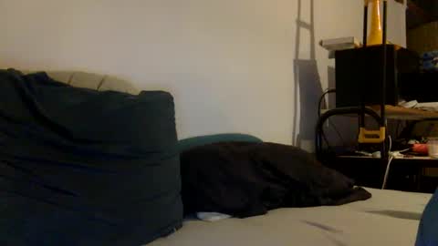 Snapshot of albandant chatting on 12/19/24, 08:23 albandant online show from 12/19/24, 08:23