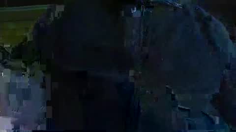 albert29 online show from 11/03/25, 08:59