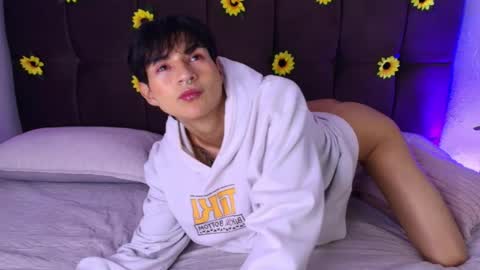 ale_aurarashi online show from 04/15/26, 04:41