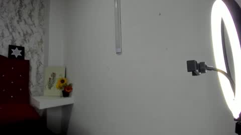 Snapshot of alejandra_james chatting on 05/04/26, 11:28 ALEJANDRA JAMES online show from 05/04/26, 11:28