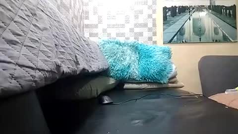 haden online show from 04/01/26, 02:23