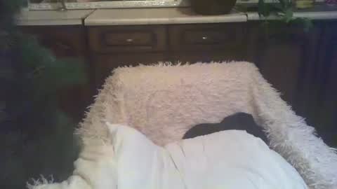 Snapshot of alenablack chatting on 01/05/25, 03:00 Luly online show from 01/05/25, 03:00