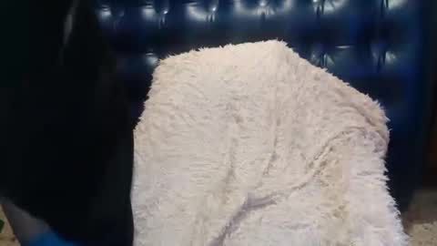 Snapshot of alenablack chatting on 02/14/25, 01:02 Luly online show from 02/14/25, 01:02