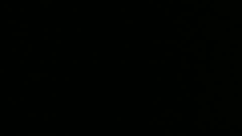 alex online show from 12/26/24, 10:26