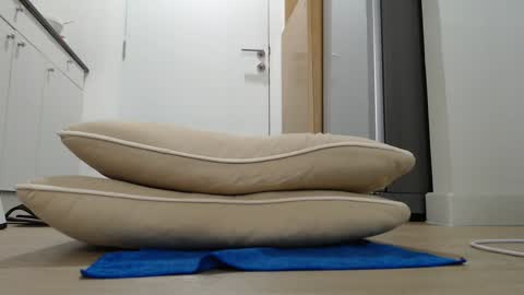 Snapshot of alex_nicha chatting on 09/21/25, 04:47 Nicha online show from 09/21/25, 04:47