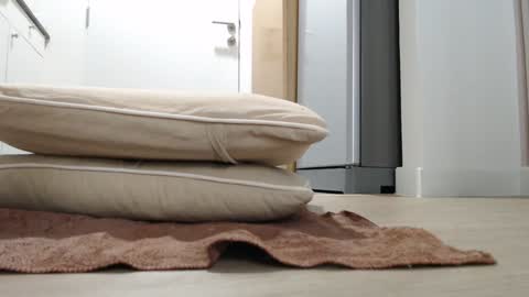 Snapshot of alex_nicha chatting on 10/18/25, 03:20 Nicha online show from 10/18/25, 03:20