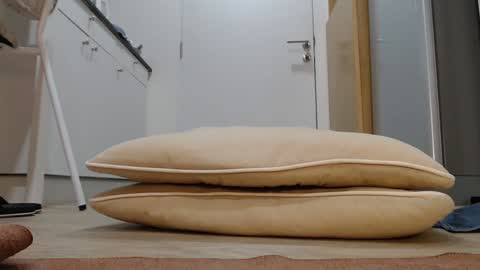 Snapshot of alex_nicha chatting on 11/05/25, 03:06 Nicha online show from 11/05/25, 03:06