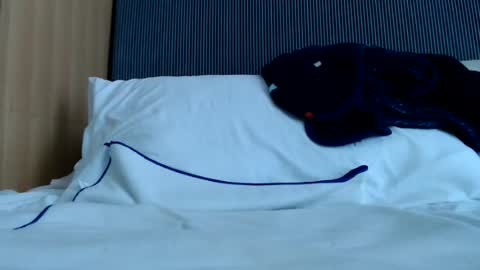 Snapshot of alex_nicha chatting on 06/13/26, 06:33 Nicha online show from 06/13/26, 06:33