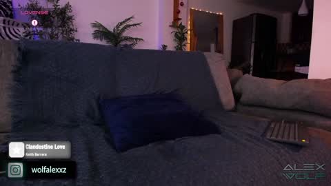 Snapshot of alex_wolf__ chatting on 01/16/25, 02:41 Alex Wolf online show from 01/16/25, 02:41