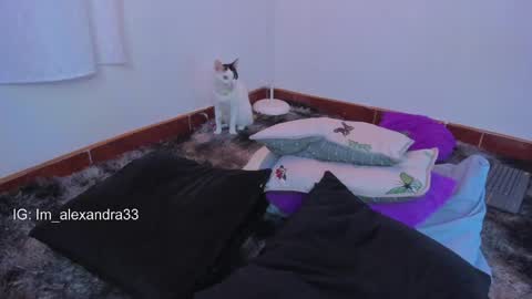 Snapshot of alexa_will chatting on 03/31/26, 02:13 alexa_will online show from 03/31/26, 02:13