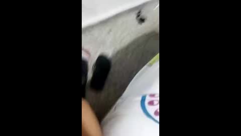 Alexamdergal online show from 01/09/25, 10:31