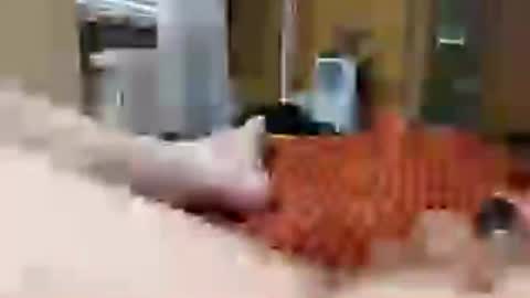 alexanderhub01 online show from 06/19/26, 04:22