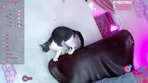 Snapshot of alexandra_evanz chatting on 01/27/25, 01:09 Alexandra Spellman online show from 01/27/25, 01:09