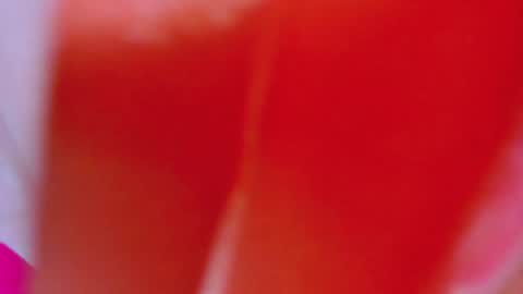 ALEXANDRA online show from 02/04/25, 08:02