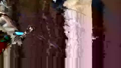 Snapshot of alexey932 chatting on 11/10/25, 10:03 alexey932 online show from 11/10/25, 10:03