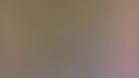 Snapshot of alexfan141 chatting on 10/31/25, 04:41 alexfan141 online show from 10/31/25, 04:41