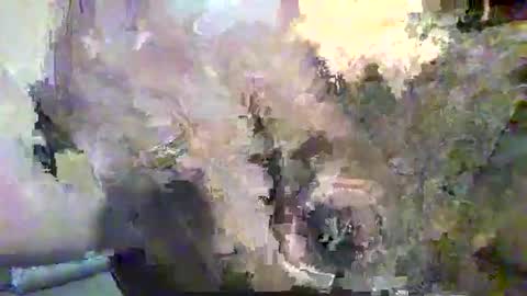 Alex online show from 11/12/25, 10:30