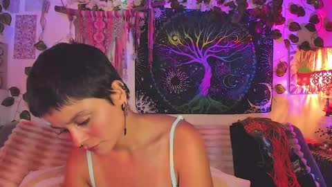 Alex online show from 04/25/26, 02:14