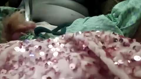 alexis0007754689 online show from 01/06/26, 07:39