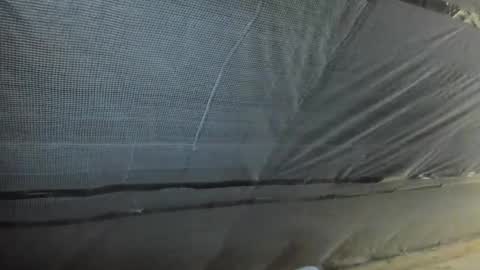 alfiesolomons87 online show from 10/02/25, 12:12