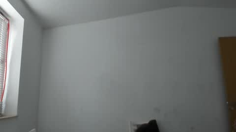 alfiesolomons87 online show from 11/14/25, 09:41