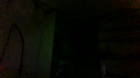 Snapshot of alfred151 chatting on 06/25/26, 05:12 Edgarrrdd1021 online show from 06/25/26, 05:12